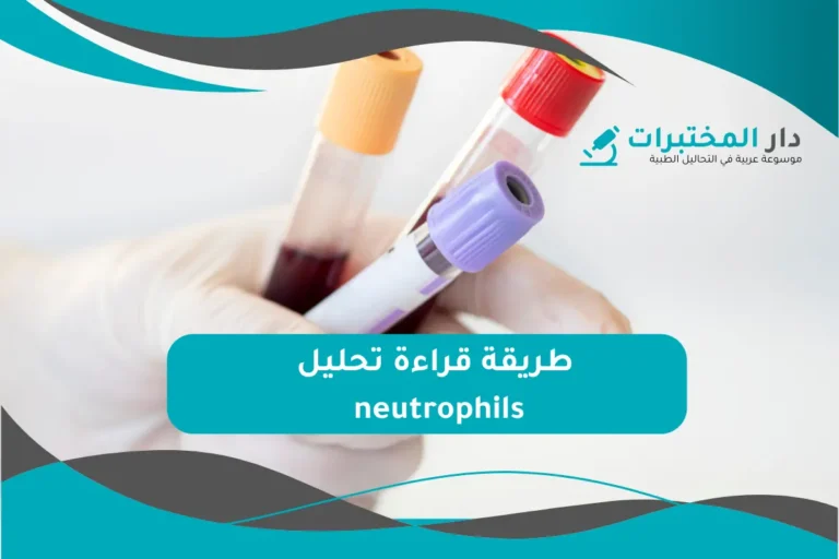 تحليل neutrophils المعدل الطبيعي