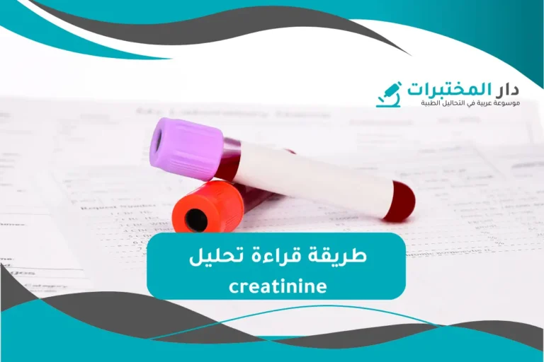 تحليل creatinine المعدل الطبيعي نسبة الارتفاع والانخفاض